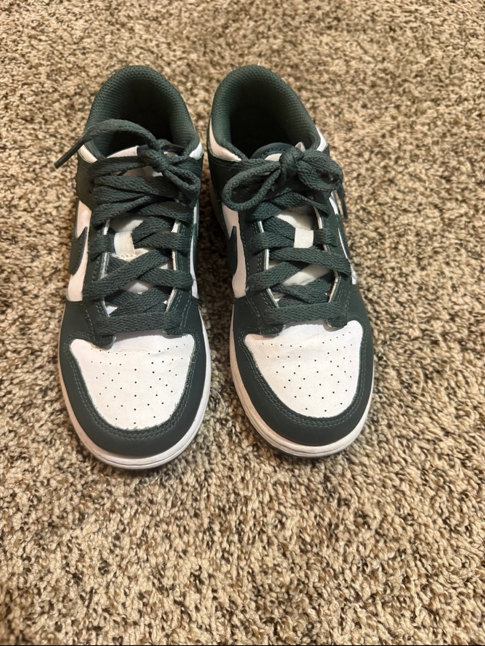 Nike Dunks